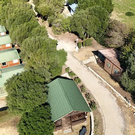 Taiga Valdevaqueros